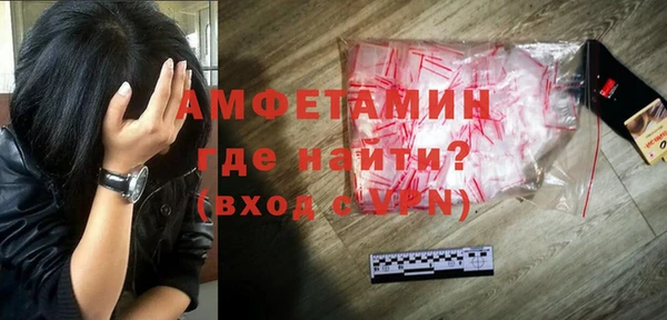 гидра Арсеньев