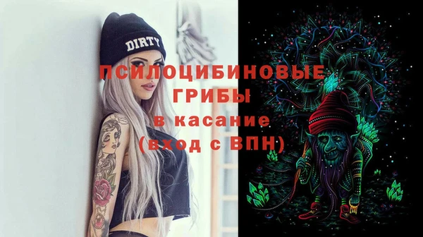 трава Армянск