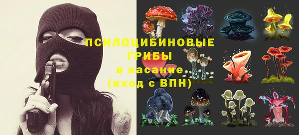 трава Армянск